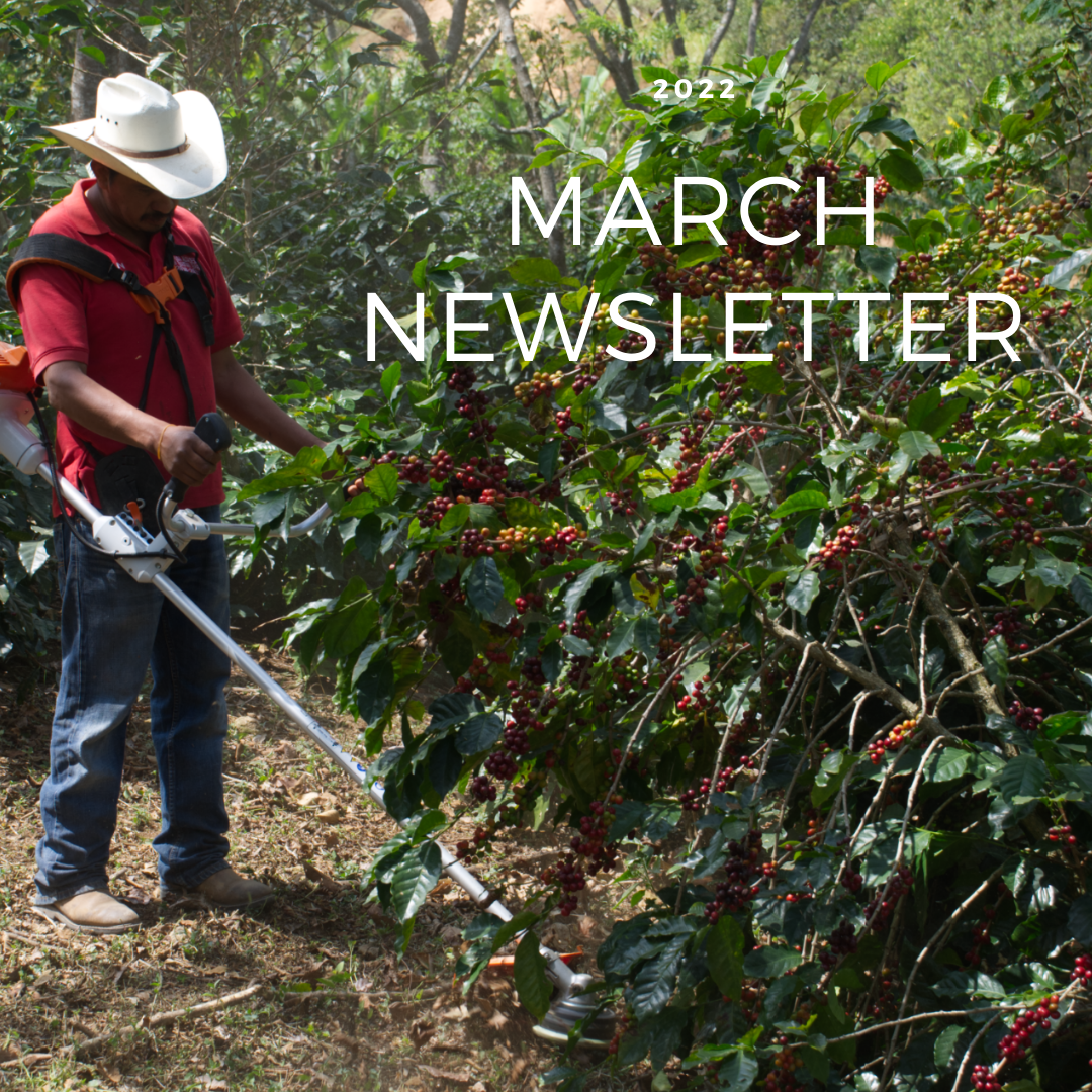 March 2022 Newsletter