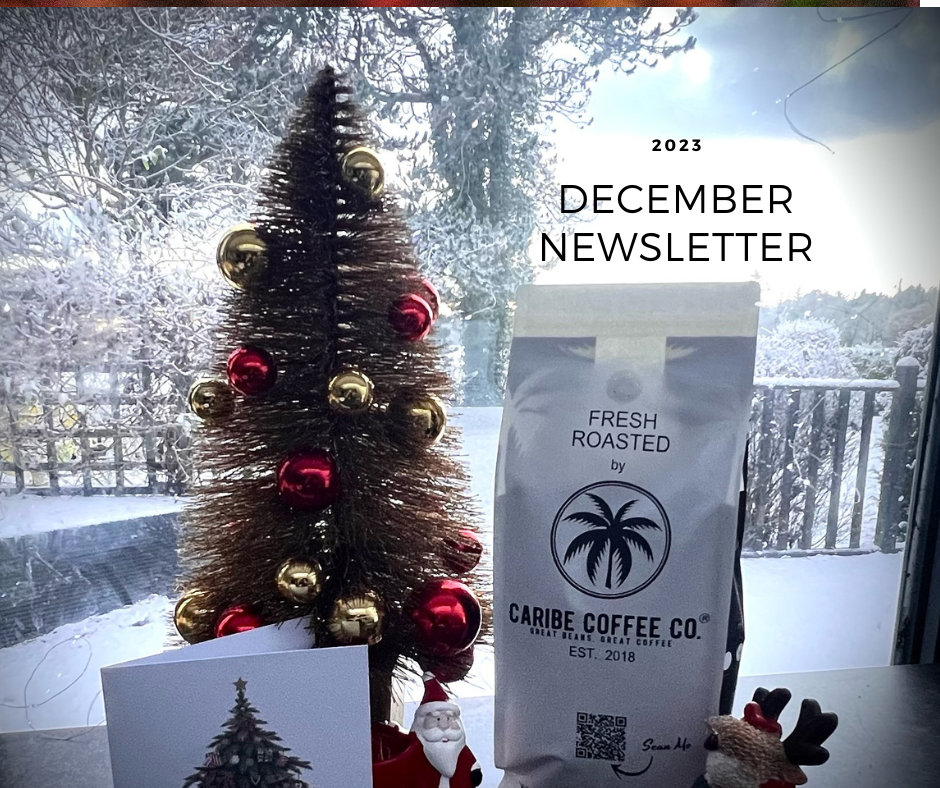 Collection of December 2023 Newsletter in a gallery layout