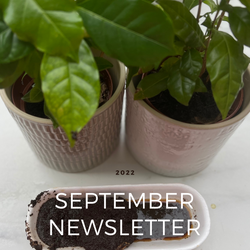 Collection of September 2022 Newsletter in a gallery layout