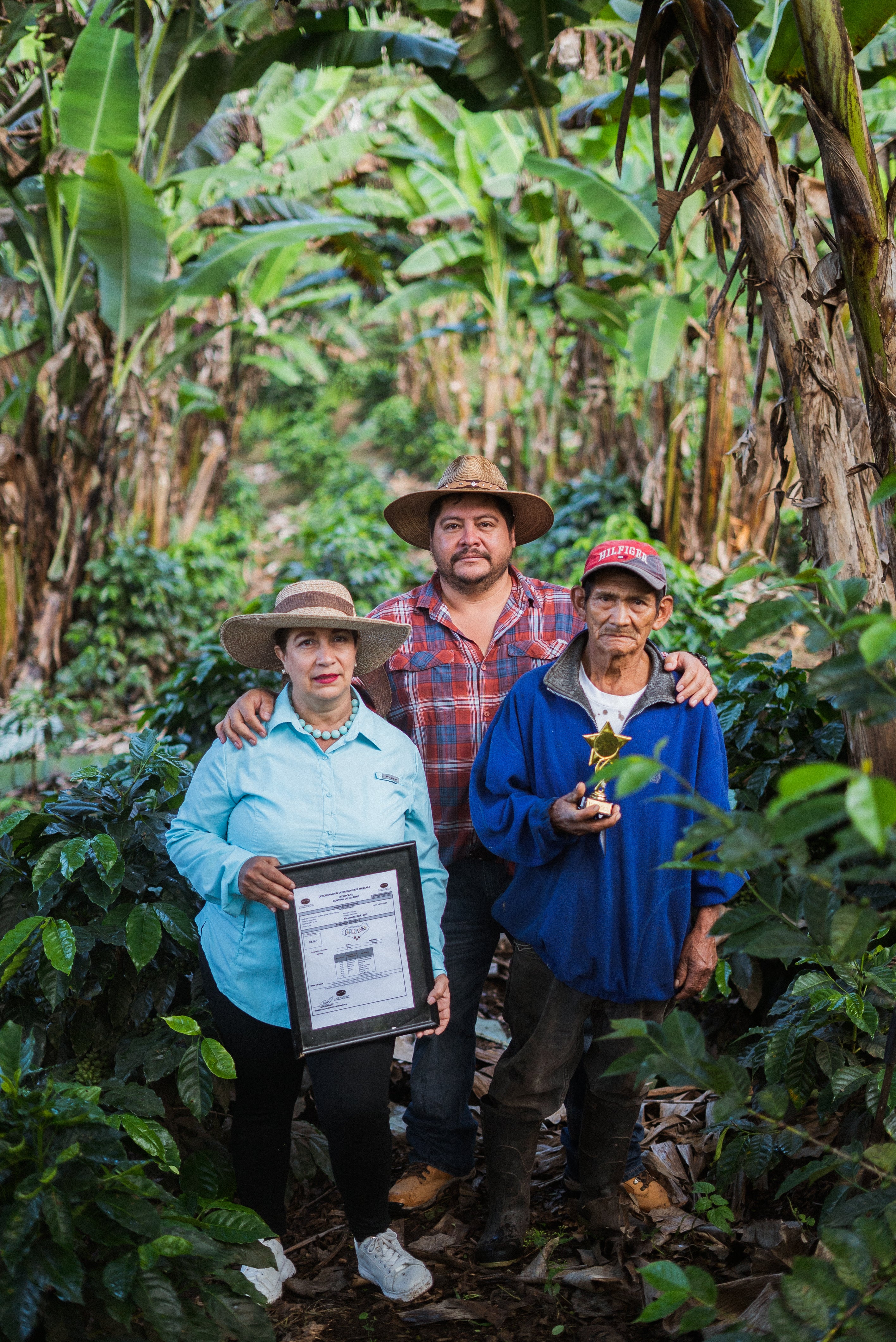 Collection of Caribe Coffee Co.® in a gallery layout