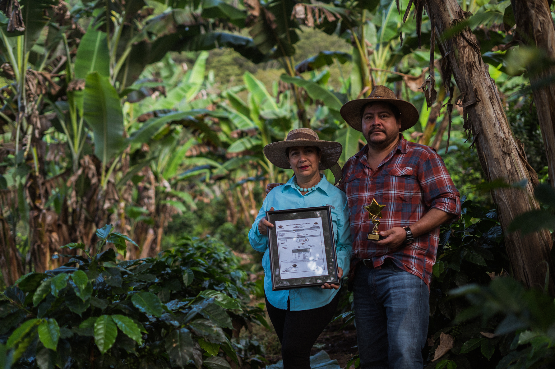 Finca La Esmeralda