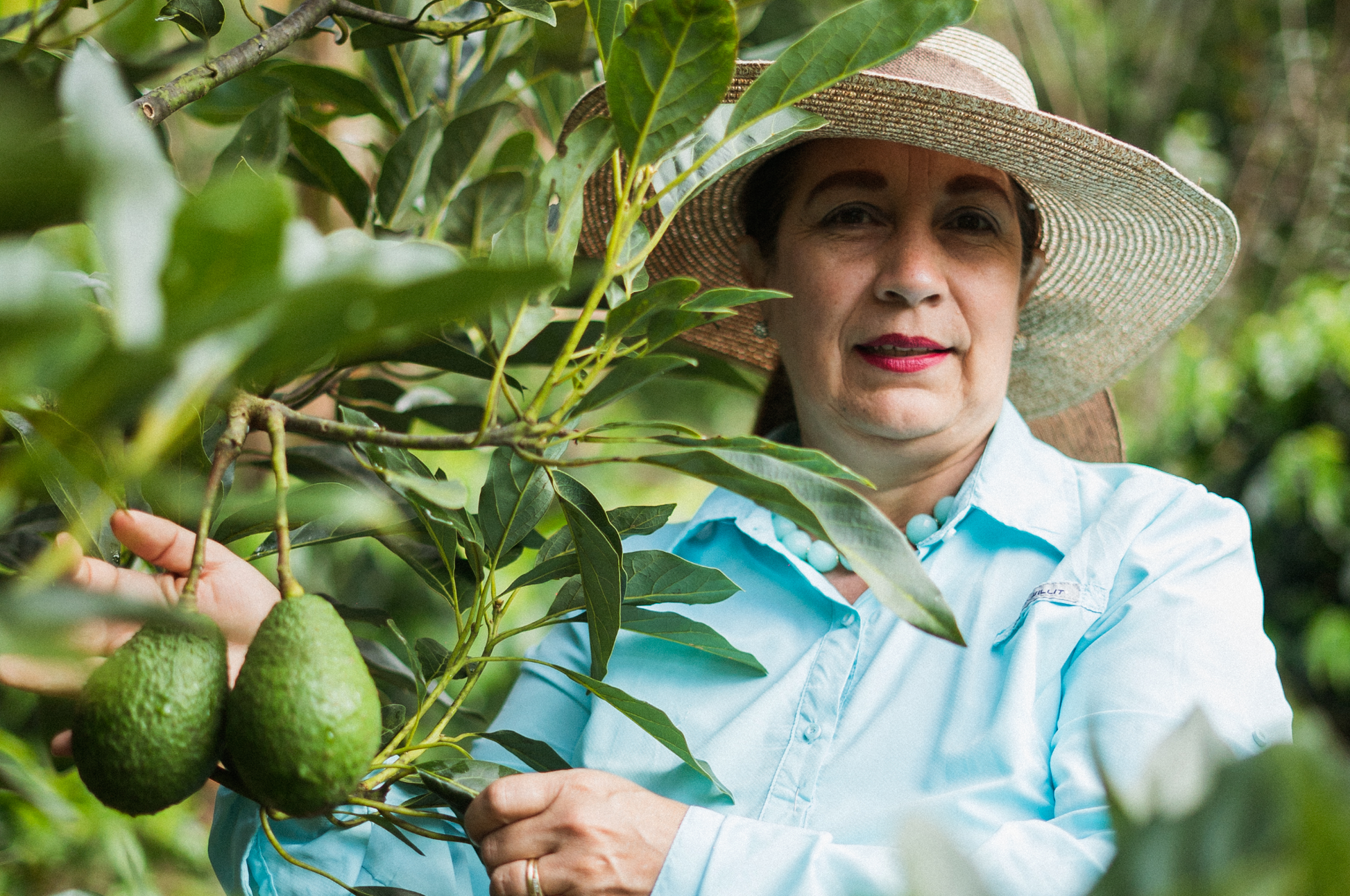 Finca La Esmeralda