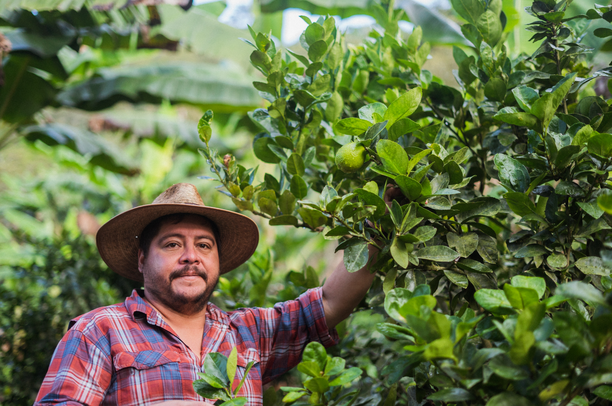 Finca La Esmeralda