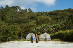 Collection of Finca La Esmeralda in a gallery layout