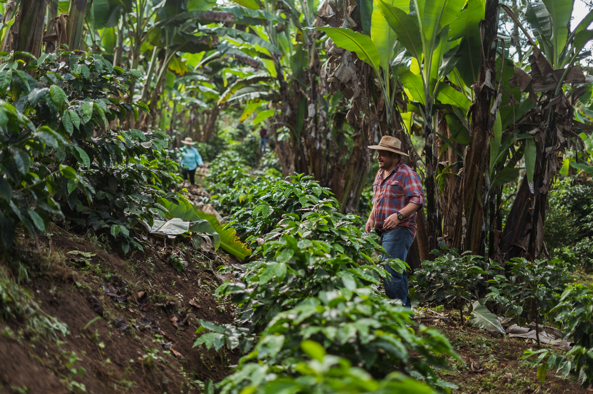 Finca La Esmeralda