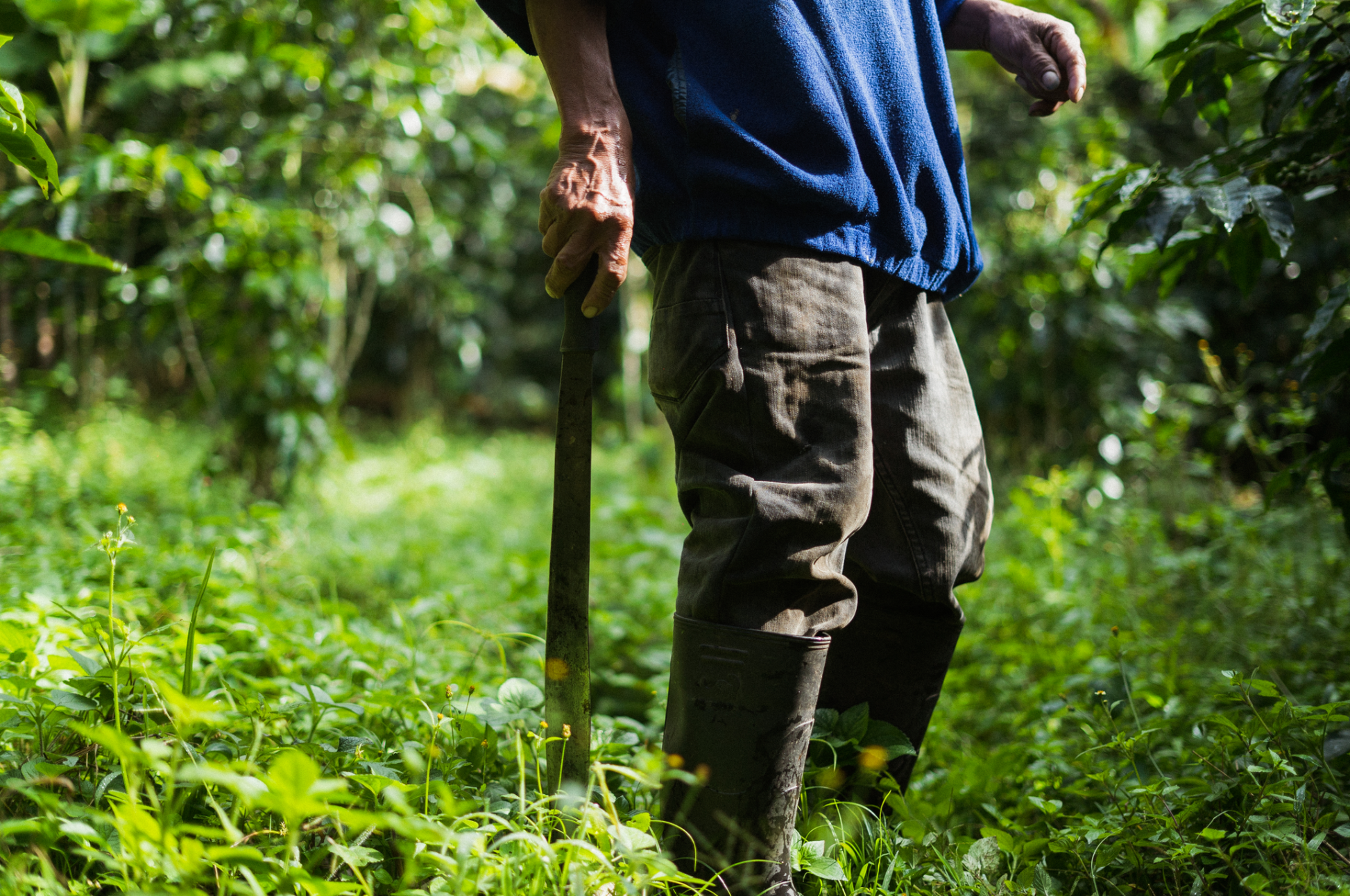 Finca La Esmeralda