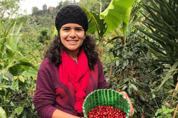 Collection of Coffee Cascara - Pulp Tea in a gallery layout