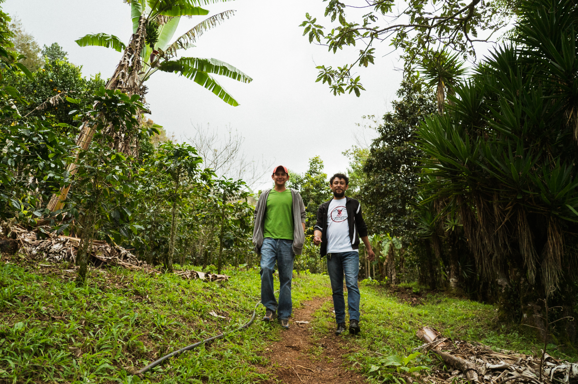 Finca La Odisea