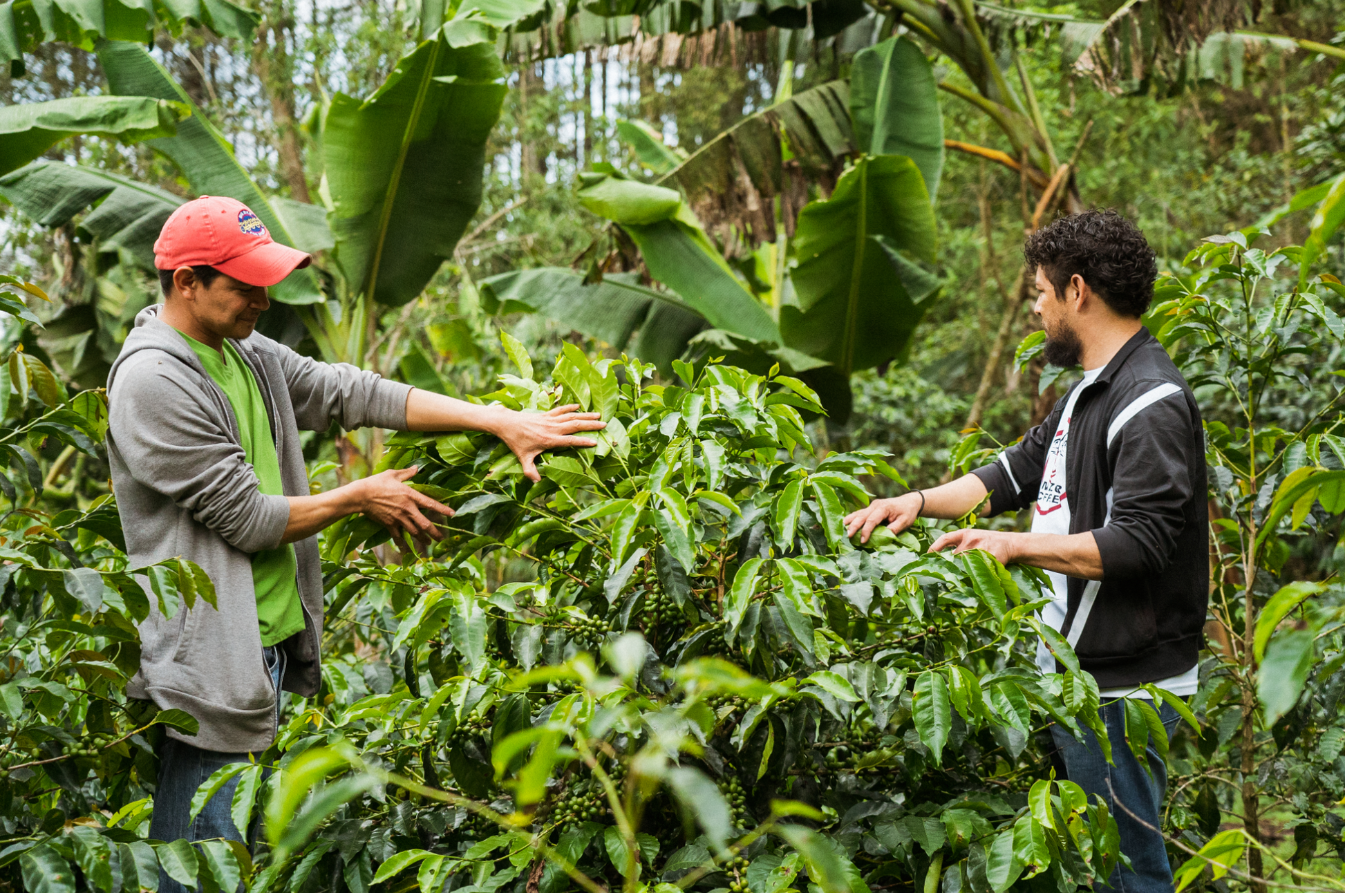 Finca La Odisea