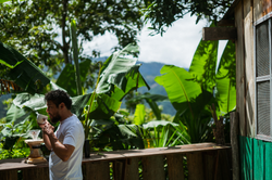 Collection of Finca La Odisea in a gallery layout